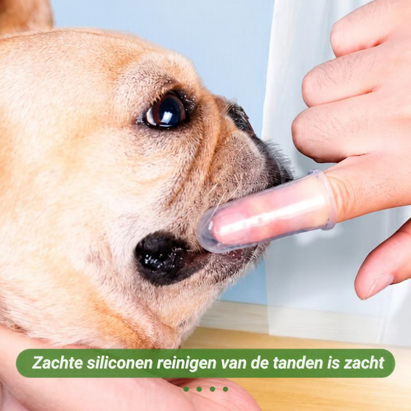 Vinger-tandenborstel